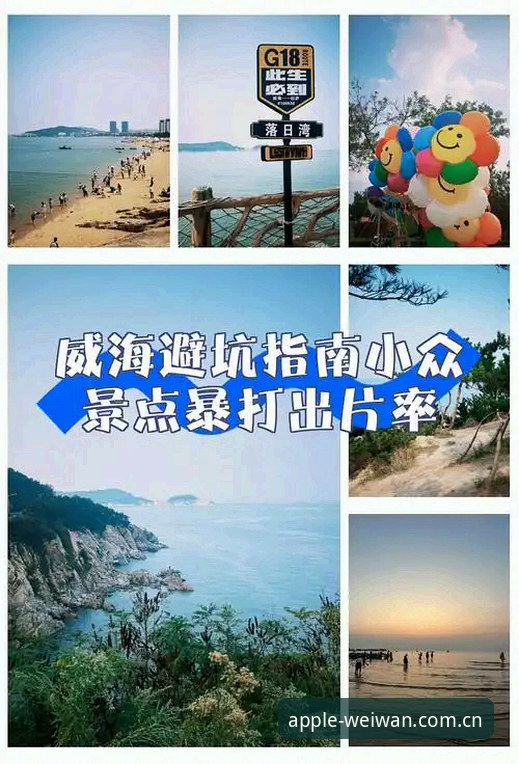 微玩体育APP中国官方主页V3版本的隐藏逻辑与避坑指南——快速访问的深度解析